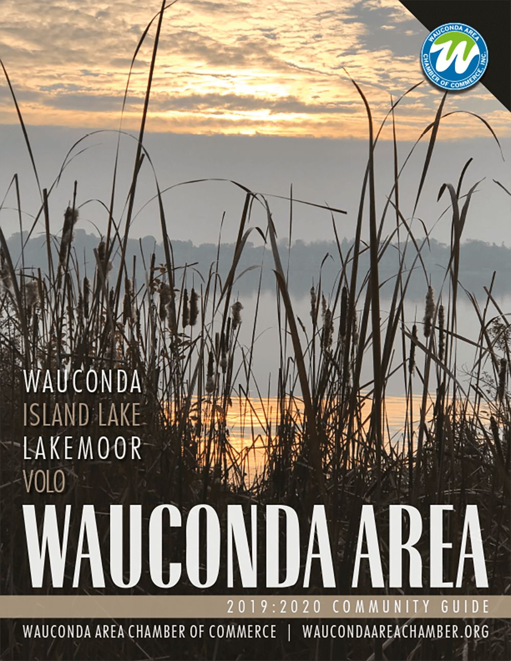 Wauconda IL DIR 2019_cover THUMB